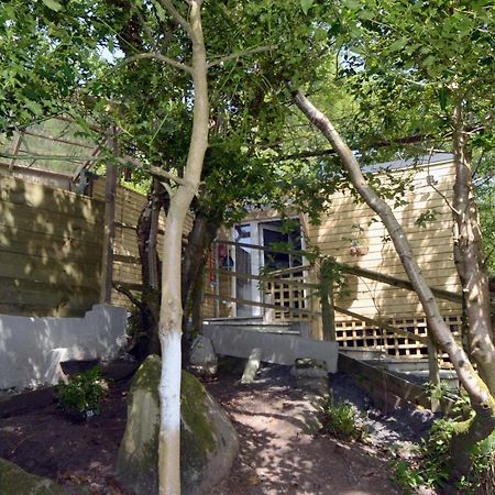 Tawny Lodge Westport Luaran gambar