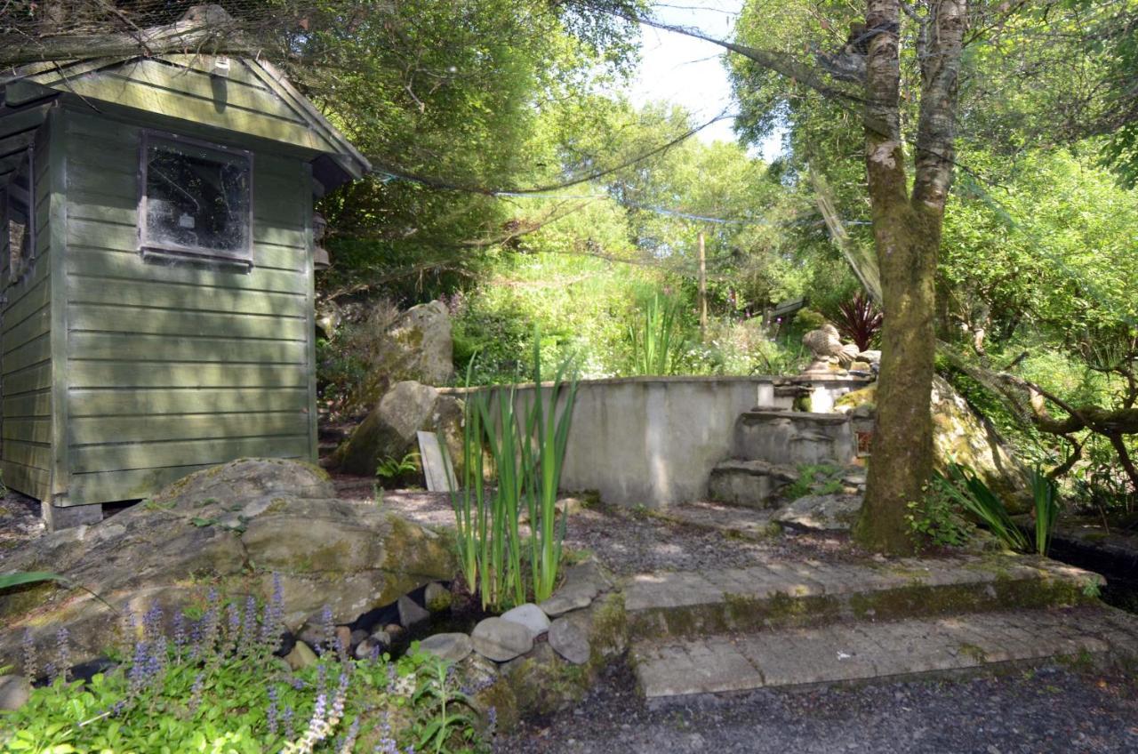 Tawny Lodge Westport Luaran gambar
