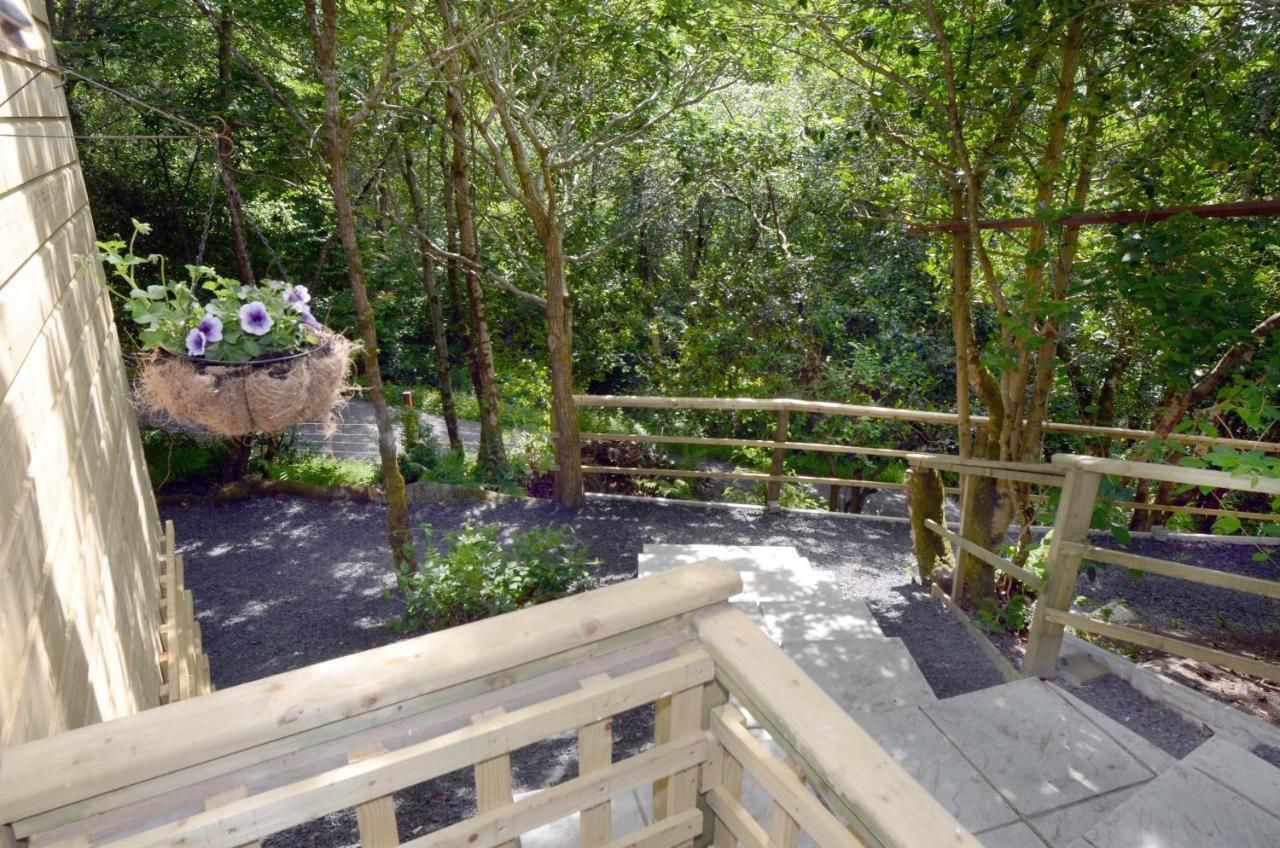 Tawny Lodge Westport Luaran gambar