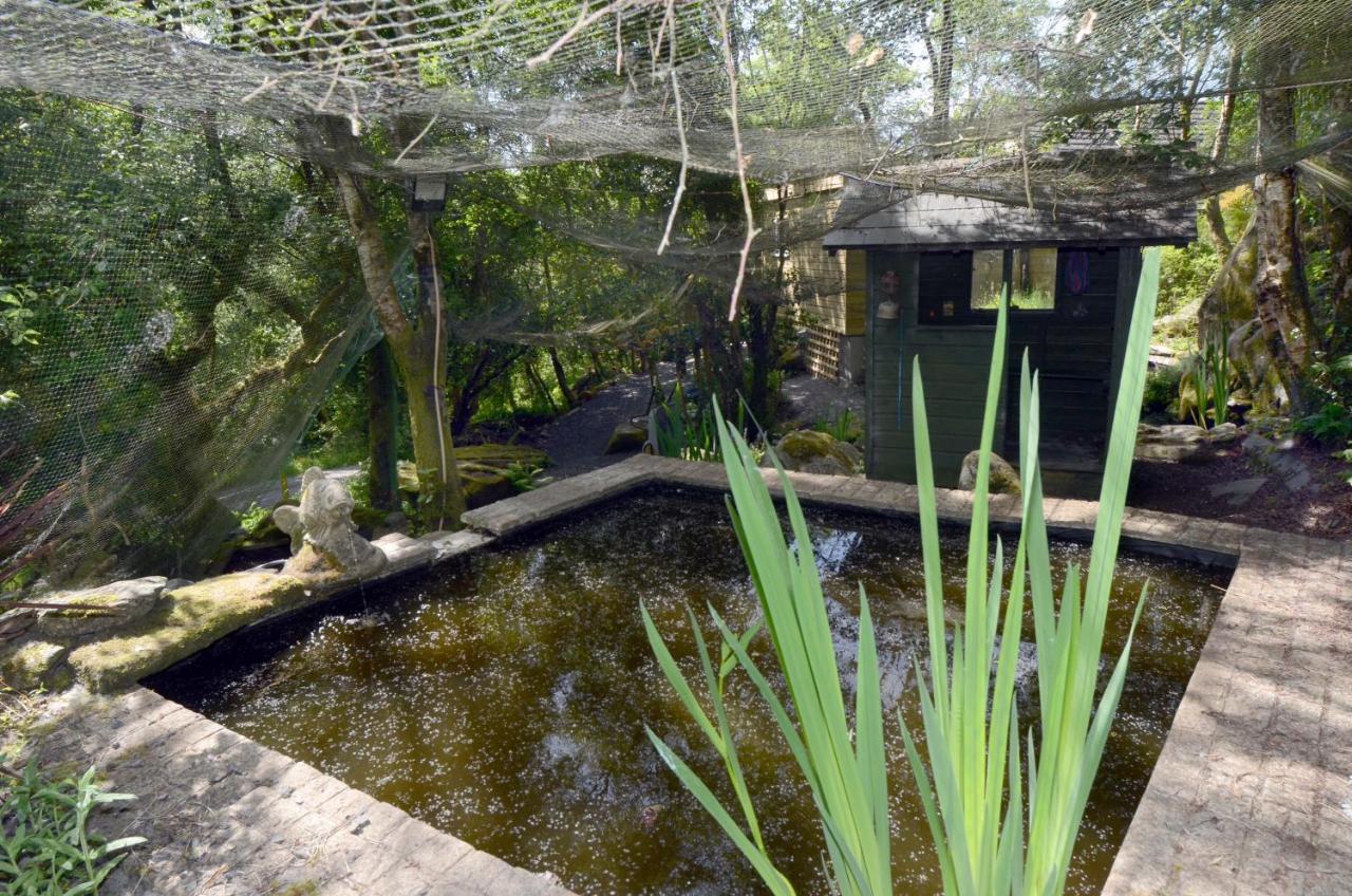 Tawny Lodge Westport Luaran gambar