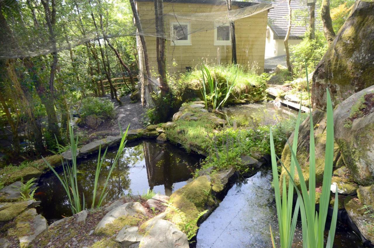 Tawny Lodge Westport Luaran gambar
