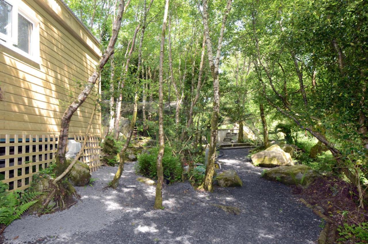 Tawny Lodge Westport Luaran gambar