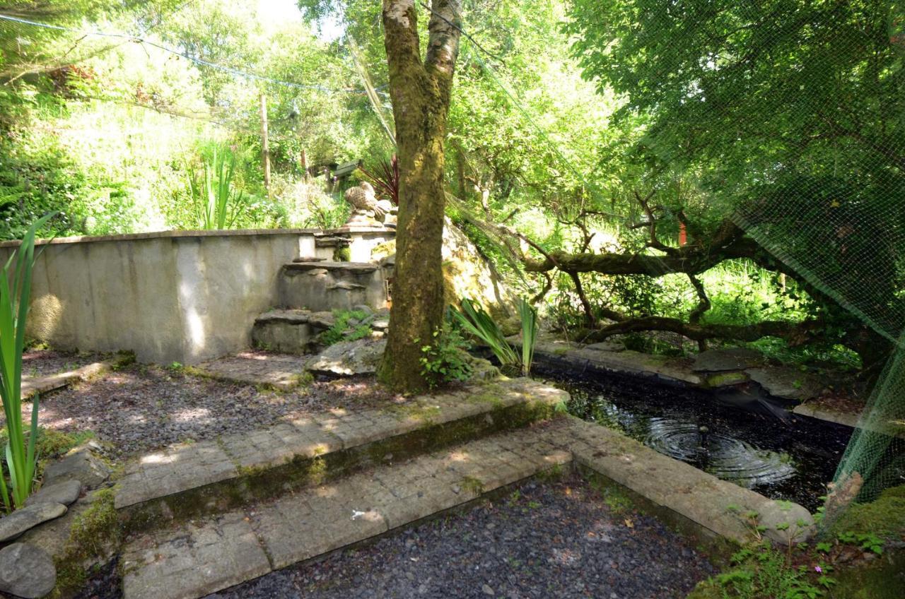 Tawny Lodge Westport Luaran gambar